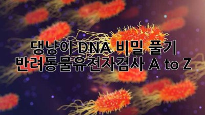 🐶🐾 댕냥이 DNA 비밀 풀기! #반려동물유전자검사 A to Z