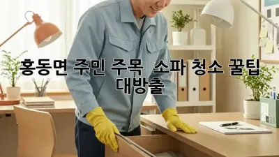 홍동면 주민 주목! ✨ 소파 청소 꿀팁 대방출 🛋️