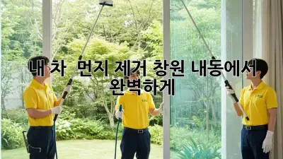 내 차 🚗✨ 먼지 제거, 창원 내동에서 완벽하게!
